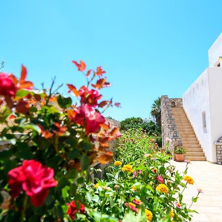 Villa Andromeda Amorgos Exteriér fotografie